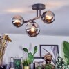Chehalis Plafondlamp, Kogellampje Chroom, Rookkleurig, 3-lichts