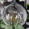 Koyoto Hanglamp, Kogellampje, Hanglamp Duidelijk, Rookkleurig, 4-lichts