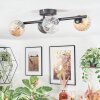 Chehalis Plafondlamp, Kogellampje Amber, Duidelijk, Rookkleurig, 4-lichts