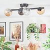 Chehalis Plafondlamp, Kogellampje Amber, Duidelijk, Rookkleurig, 4-lichts