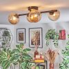 Chehalis Plafondlamp, Kogellampje Amber, 4-lichts