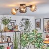 Chehalis Plafondlamp, Kogellampje Amber, Rookkleurig, 4-lichts
