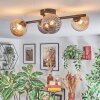 Chehalis Plafondlamp, Kogellampje Amber, Rookkleurig, 4-lichts