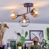 Chehalis Plafondlamp, Kogellampje Amber, Duidelijk, Rookkleurig, 3-lichts