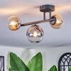 Chehalis Plafondlamp, Kogellampje Amber, Duidelijk, Rookkleurig, 3-lichts