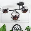 Chehalis Plafondlamp, Kogellampje Chroom, Rookkleurig, 3-lichts