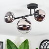 Chehalis Plafondlamp, Kogellampje Chroom, Duidelijk, Rookkleurig, 3-lichts