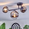 Chehalis Plafondlamp, Kogellampje Chroom, Duidelijk, Rookkleurig, 3-lichts