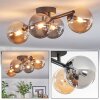 Chehalis Plafondlamp, Kogellampje Amber, Rookkleurig, 4-lichts