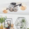 Chehalis Plafondlamp, Kogellampje Amber, Rookkleurig, 4-lichts