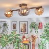 Chehalis Plafondlamp, Kogellampje Amber, Rookkleurig, 4-lichts