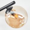 Chehalis Plafondlamp, Kogellampje Amber, Rookkleurig, 4-lichts
