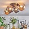 Chehalis Plafondlamp, Kogellampje Amber, Rookkleurig, 4-lichts