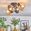 Chehalis Plafondlamp, Kogellampje Amber, Duidelijk, Rookkleurig, 4-lichts