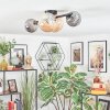 Chehalis Plafondlamp, Kogellampje Amber, Rookkleurig, 4-lichts