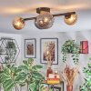 Chehalis Plafondlamp, Kogellampje Amber, Rookkleurig, 4-lichts