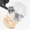 Chehalis Plafondlamp, Kogellampje Amber, Duidelijk, Rookkleurig, 4-lichts