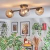 Chehalis Plafondlamp, Kogellampje Amber, Duidelijk, Rookkleurig, 4-lichts
