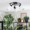 Fallhagen Plafondlamp, Plafondspot Zwart, 3-lichts