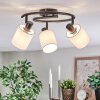 Fallhagen Plafondlamp, Plafondspot Zwart, 3-lichts