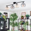 Koyoto Plafondlamp, Kogellampje Amber, Duidelijk, Rookkleurig, 4-lichts