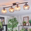 Koyoto Plafondlamp, Kogellampje Amber, Duidelijk, Rookkleurig, 4-lichts