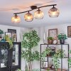 Koyoto Plafondlamp, Kogellampje Amber, Duidelijk, Rookkleurig, 4-lichts