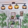 Koyoto Plafondlamp, Kogellampje Blauw, Groen, Koperkleurig, 4-lichts
