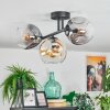 Ripoll Plafondlamp, Kogellampje Amber, Duidelijk, Rookkleurig, 3-lichts