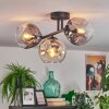Ripoll Plafondlamp, Kogellampje Amber, Duidelijk, Rookkleurig, 3-lichts