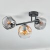 Ripoll Plafondlamp, Kogellampje Amber, Duidelijk, Rookkleurig, 3-lichts