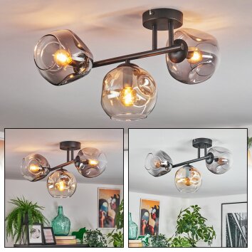 Ripoll Plafondlamp, Kogellampje Amber, Duidelijk, Rookkleurig, 3-lichts