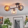 Ripoll Plafondlamp, Kogellampje Amber, Duidelijk, Rookkleurig, 3-lichts