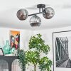 Ripoll Plafondlamp, Kogellampje Rookkleurig, 3-lichts