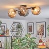 Chehalis Plafondlamp, Kogellampje Amber, Rookkleurig, 4-lichts