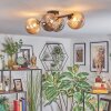 Chehalis Plafondlamp, Kogellampje Amber, Rookkleurig, 4-lichts