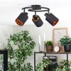 Fallhagen Plafondlamp, Plafondspot Zwart, 3-lichts