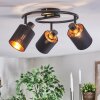 Fallhagen Plafondlamp, Plafondspot Zwart, 3-lichts