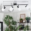 Fallhagen Plafondlamp, Plafondspot Zwart, 4-lichts