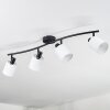 Fallhagen Plafondlamp, Plafondspot Zwart, 4-lichts