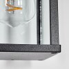 Tourega Wandlamp voor buiten, Wandlamp Zwart, 1-licht