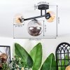 Chehalis Plafondlamp, Kogellampje Amber, Rookkleurig, 3-lichts