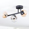 Chehalis Plafondlamp, Kogellampje Amber, Duidelijk, Rookkleurig, 3-lichts