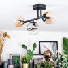 Chehalis Plafondlamp, Kogellampje Amber, Duidelijk, Rookkleurig, 3-lichts