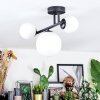 Chehalis Plafondlamp, Kogellampje Wit, 3-lichts