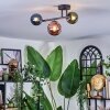 Chehalis Plafondlamp, Kogellampje Blauw, Groen, Koperkleurig, 3-lichts