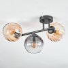 Koyoto Plafondlamp, Kogellampje Amber, Duidelijk, Rookkleurig, 3-lichts