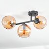 Koyoto Plafondlamp, Kogellampje Amber, 3-lichts