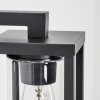 Avete Wandlamp voor buiten, Wandlamp Zwart, 1-licht