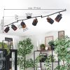 Fallhagen Plafondlamp, Plafondspot Zwart, 6-lichts